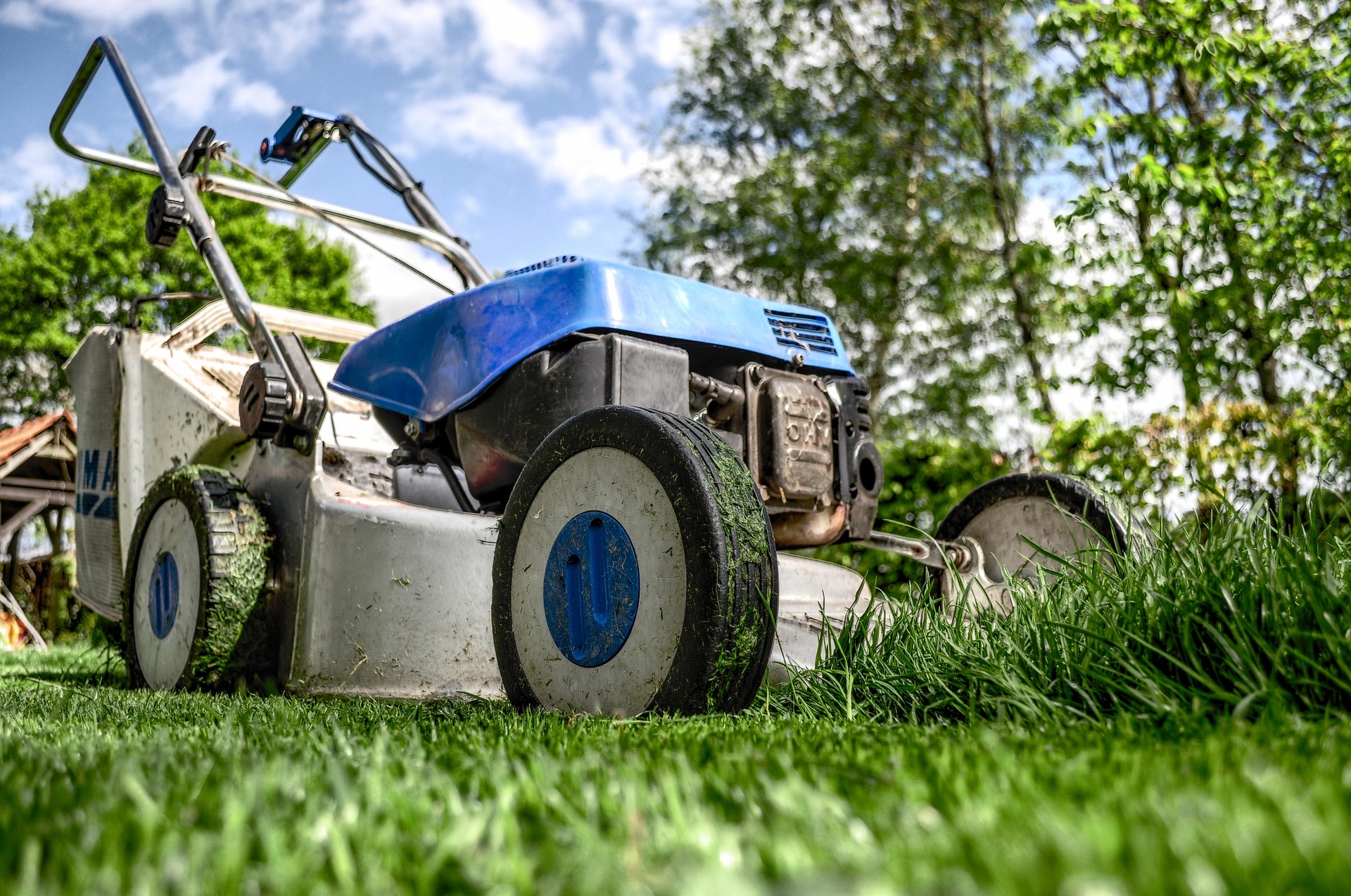 Lawn care and mowing