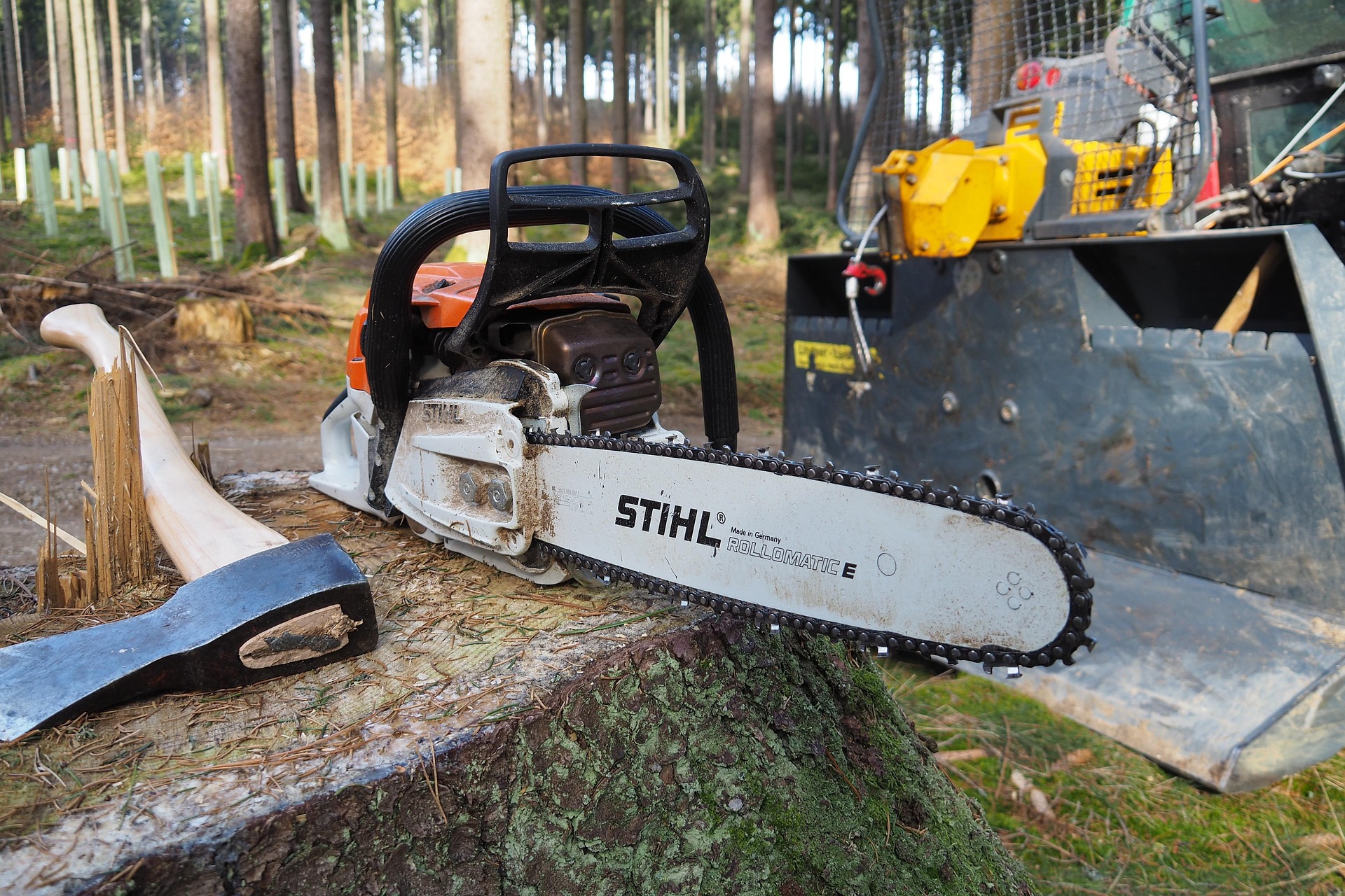 Tree care